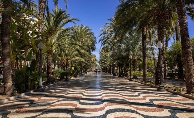 Nieuwbouw - Apartment - Alicante - Centro