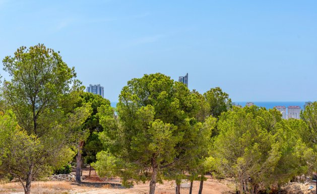 New Build - Villa - Benidorm - Sierra cortina