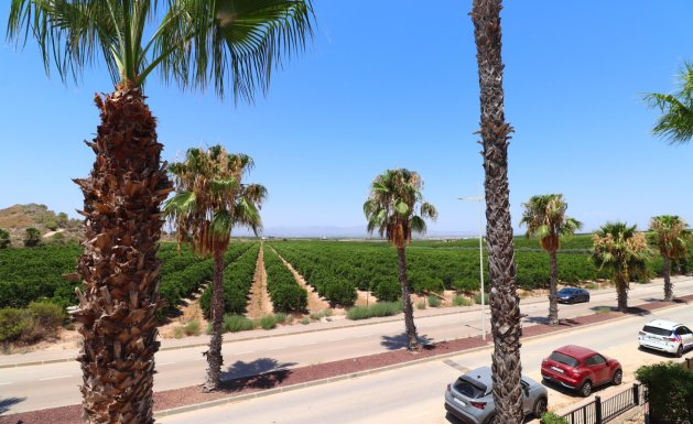 Resale - Semi Detached Villa - Algorfa - La Finca Golf Resort
