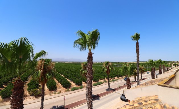 Resale - Semi Detached Villa - Algorfa - La Finca Golf Resort