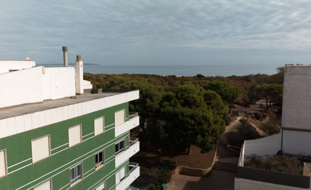 New Build - Apartment - Guardamar del Segura