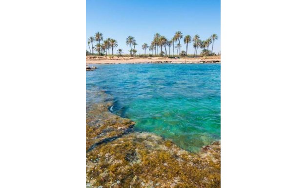 New Build - ground-floor - Torrevieja