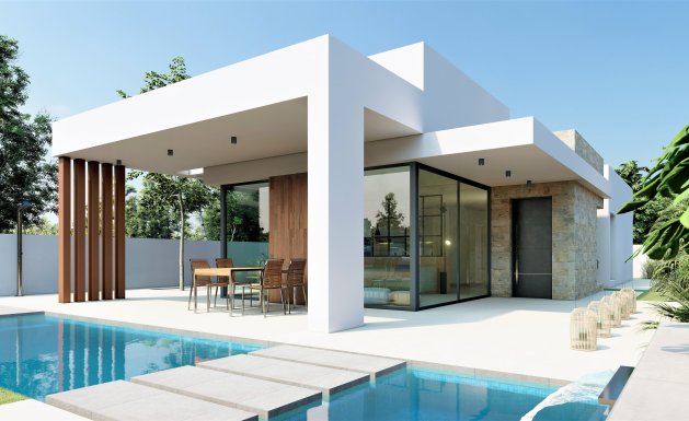 New Build - Detached House / Villa - San Fulgencio