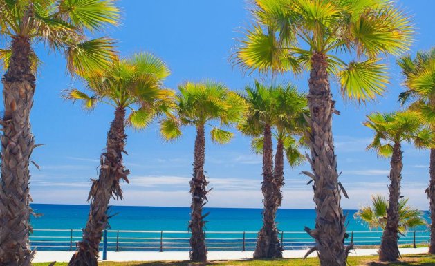 New Build - Detached House / Villa - Orihuela Costa