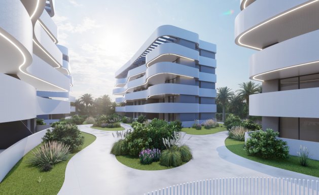 New Build - ground-floor - Guardamar del Segura