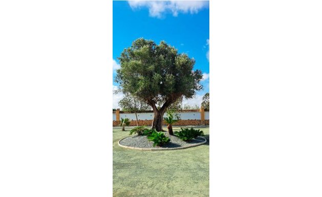 Resale - Country Property - Catral - Catral - Country