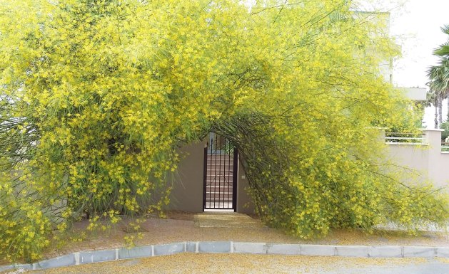 Herverkoop - Villa - Ciudad Quesada - Pueblo Bravo