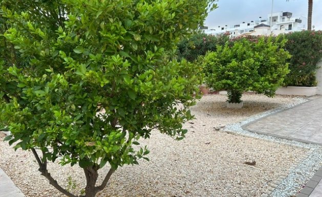 Herverkoop - Villa - Villamartín - Los Dolses