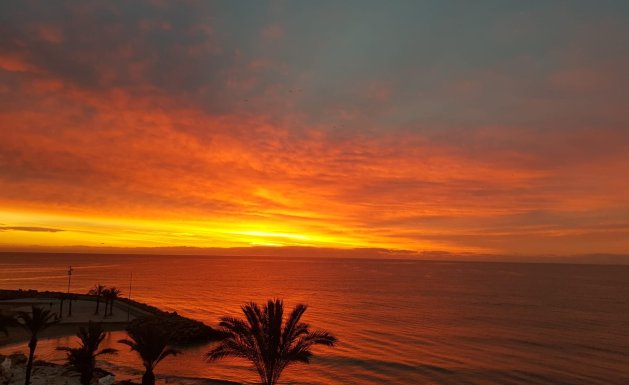 Herverkoop - Apartment - Torrevieja - Playa del Cura