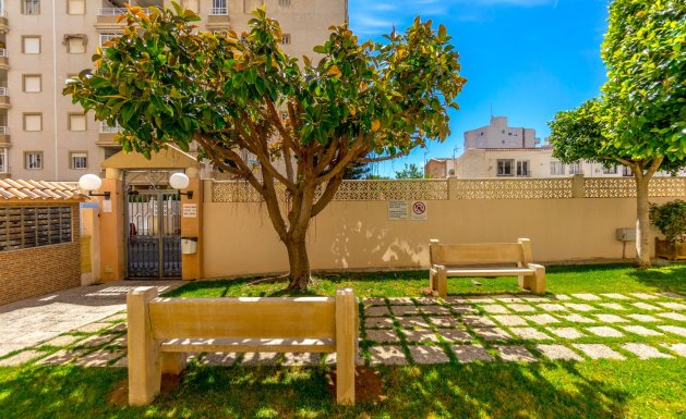 Herverkoop - Apartment - Torrevieja - Centro