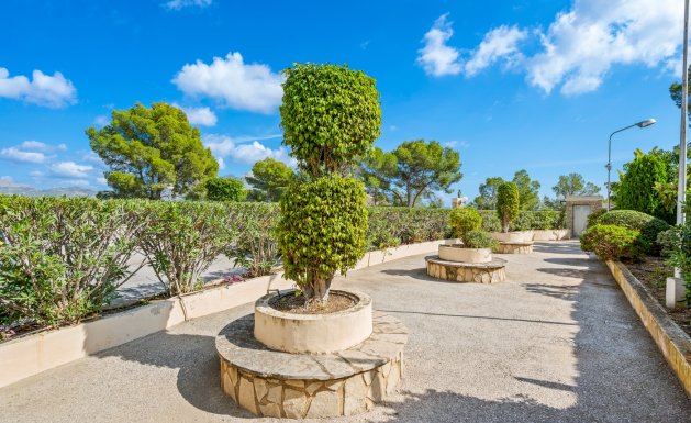 Reventa - Apartment - Alicante - La Nucía