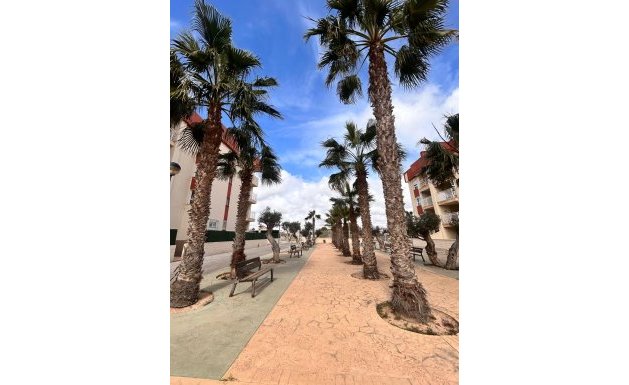 New Build - ground-floor - Orihuela Costa