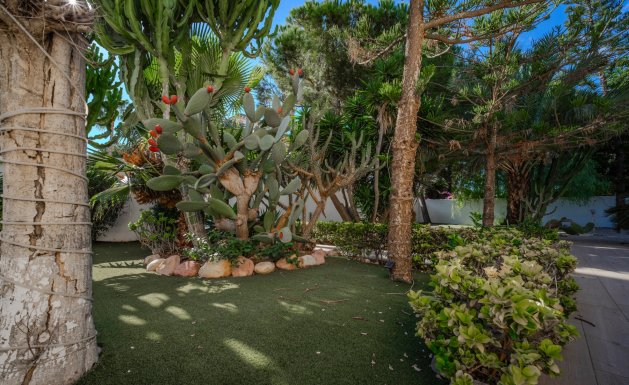 Reventa - Villa - Ciudad Quesada - Dona Pepa