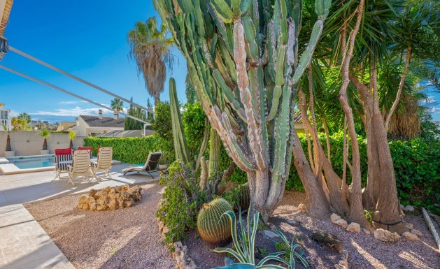 Herverkoop - Villa - Benijofar - Benimar 1