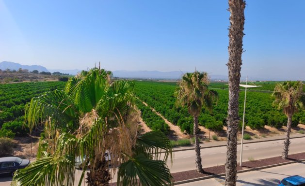 Resale - Semi Detached - Algorfa - La Finca Golf - La Finca Golf