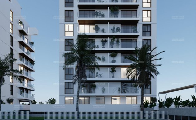 New Build - Apartment - Guardamar del Segura