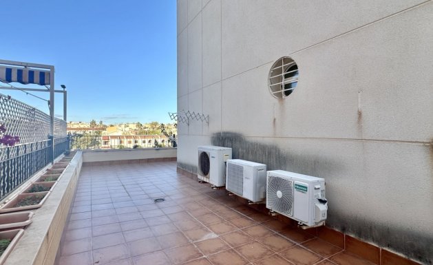 Resale - Apartment - Mil Palmeras