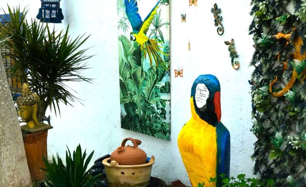 Herverkoop - Country House - Daya Nueva