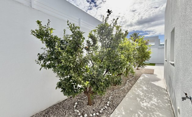 Nieuwbouw - Detached House / Villa - Benijofar