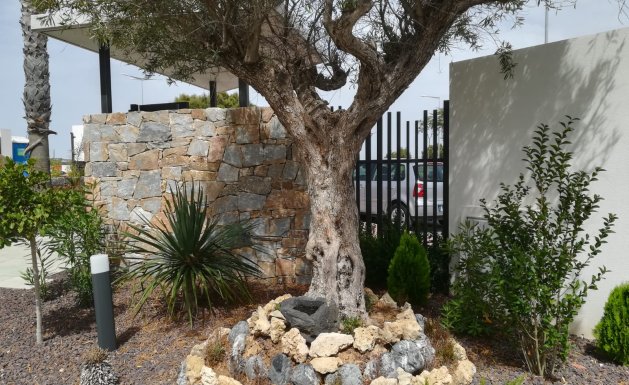 New Build - low-bungalow - Torrevieja