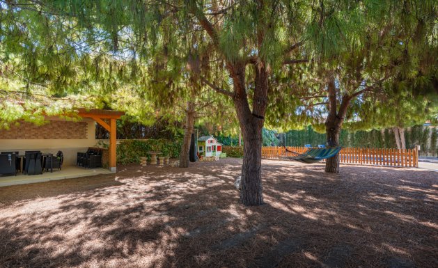 Resale - Villa - Ciudad Quesada - DOÑA PEPA