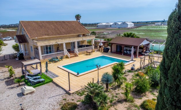 Resale - Detached House / Villa - Alicante - Albatera