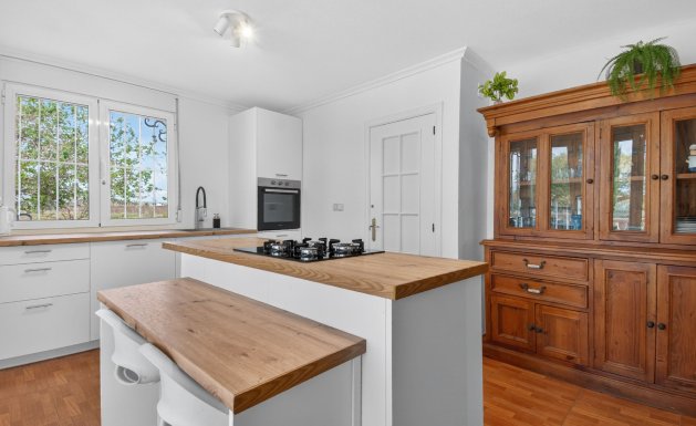 Resale - Detached House / Villa - Alicante - Albatera