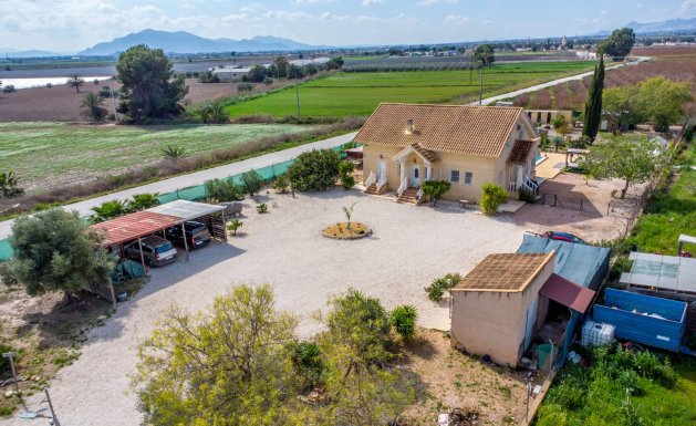 Resale - Detached House / Villa - Alicante - Albatera