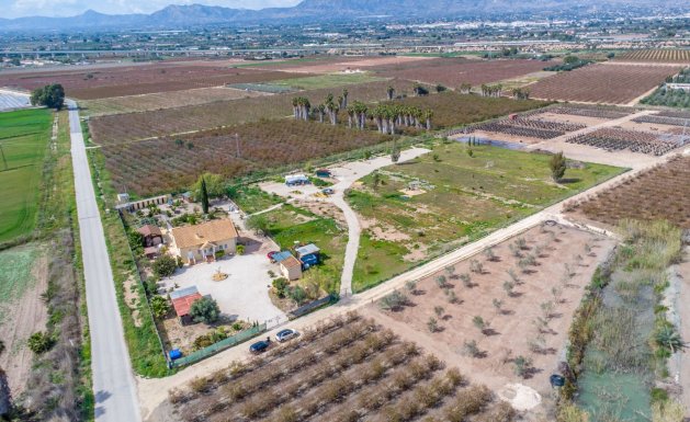 Resale - Detached House / Villa - Alicante - Albatera