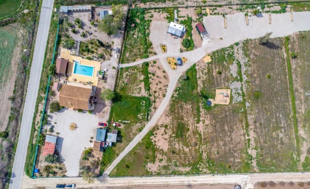 Resale - Detached House / Villa - Alicante - Albatera