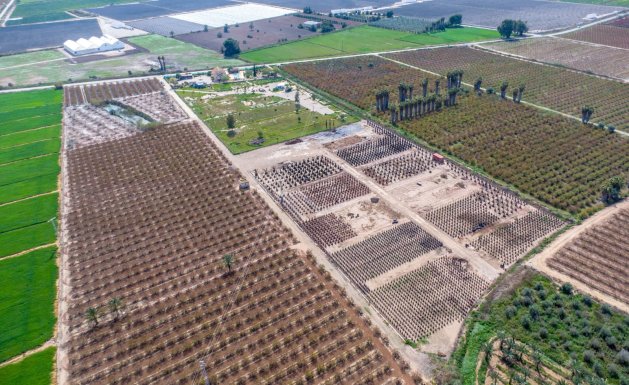 Resale - Detached House / Villa - Alicante - Albatera