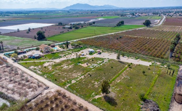 Resale - Detached House / Villa - Alicante - Albatera