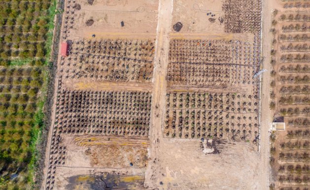 Resale - Detached House / Villa - Alicante - Albatera