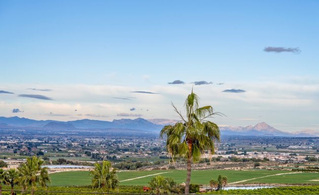 Resale - Detached House / Villa - Algorfa - Lomas De La Juliana