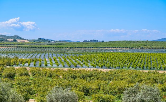 Herverkoop - Apartment - Algorfa - Fontana