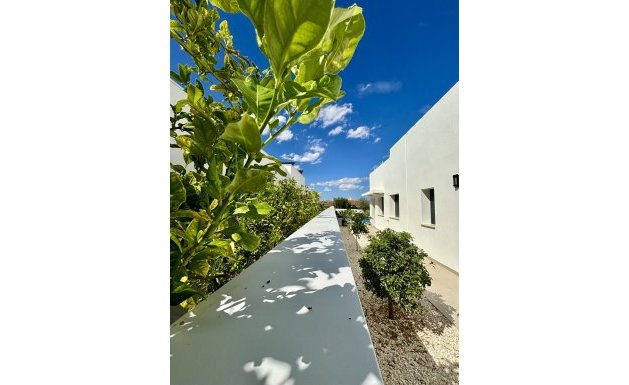 Nieuwbouw - Detached House / Villa - Benijofar