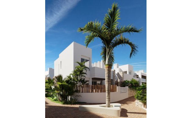 Obra nueva - Detached House / Villa - San Juan de los Terreros