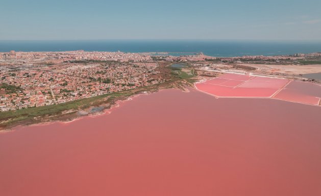 New Build - high-bungalow - Torrevieja