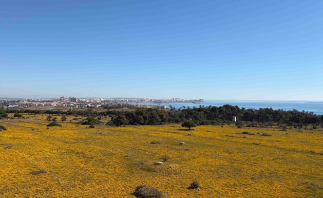 Herverkoop - Apartment - Orihuela Costa - Punta Prima