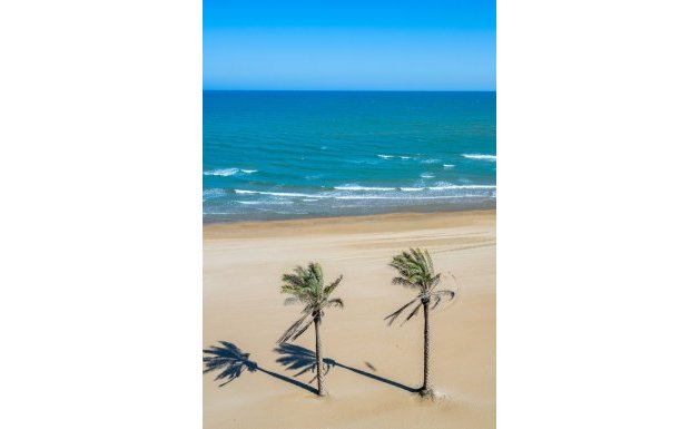 Resale - Apartment - Guardamar del Segura - Guardamar