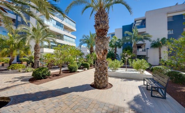Reventa - Apartment - Orihuela Costa - Villamartin