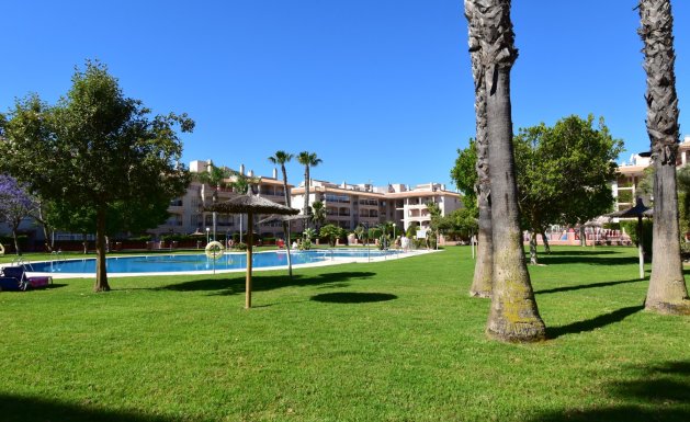 Resale - Duplex - Orihuela Costa - Playa Flamenca
