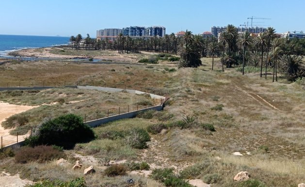 Herverkoop - Apartment - Torrevieja - Mar Azul