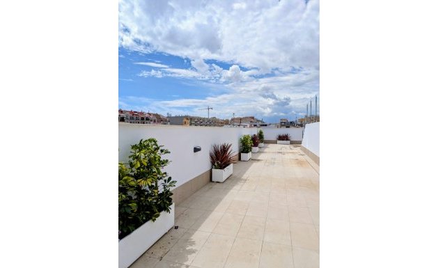 Nieuwbouw - Apartment - Torrevieja