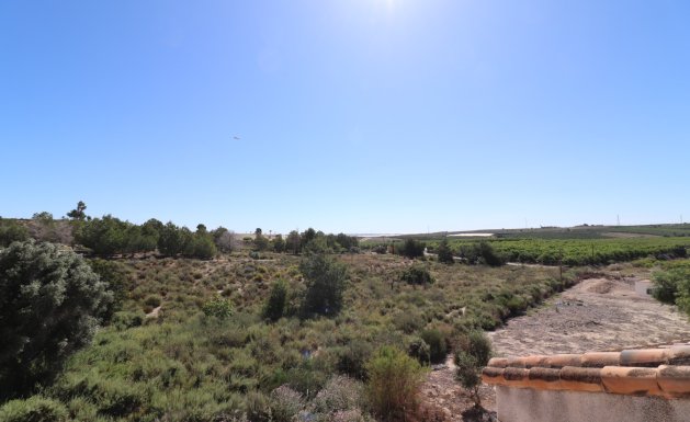 Resale - Detached villa - San Miguel de Salinas - Lake View Mansions