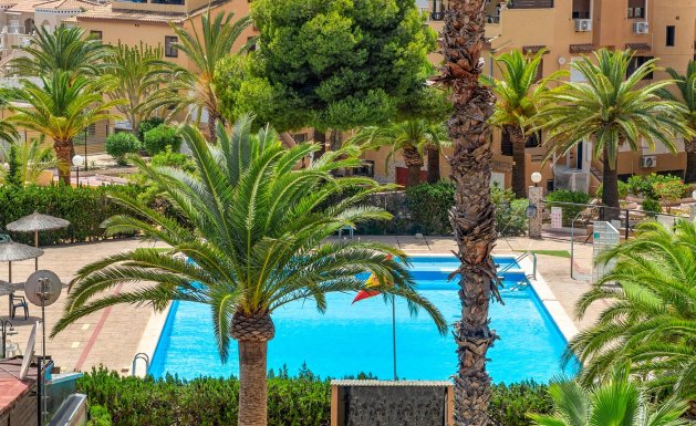 Reventa - Apartment - Torrevieja - Torrevieja - Aguas Nuevas