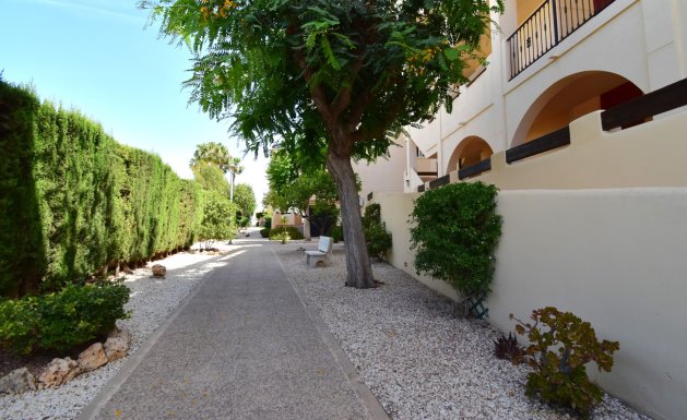 Resale - Apartment - Orihuela Costa - Playa Flamenca