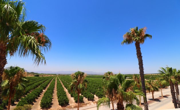Resale - Semi Detached Villa - Algorfa - La Finca Golf Resort
