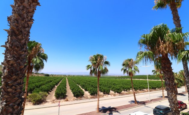 Resale - Semi Detached Villa - Algorfa - La Finca Golf Resort