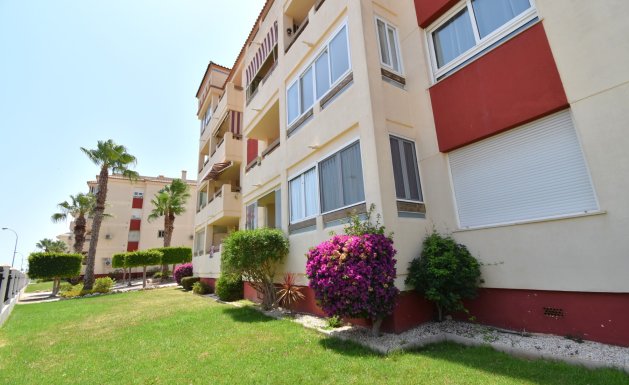 Resale - Apartment - Orihuela Costa - Playa Flamenca